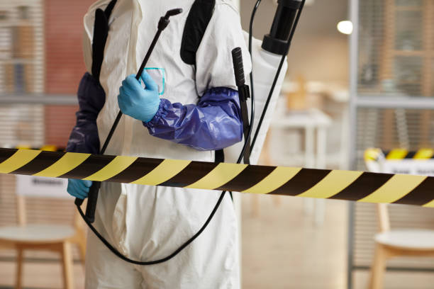 Professional Sewage Cleanup technician working in Fresno, CA